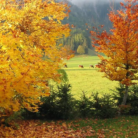 Appartementhaus Sonne Lejlighed