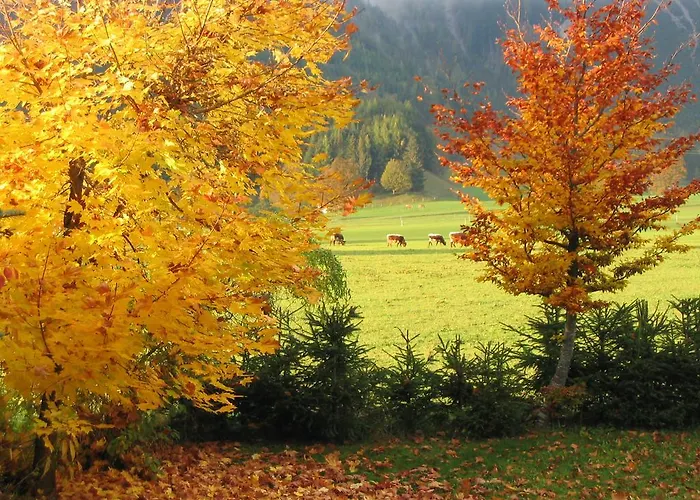 Appartementhaus Sonne 公寓